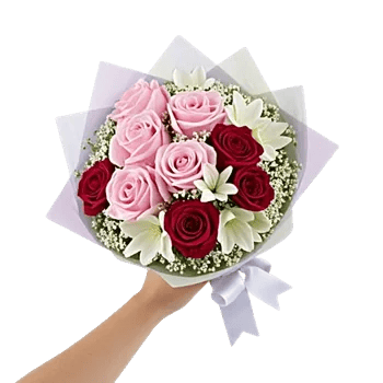 Blushing Rose Symphony