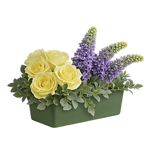 Delicate Petal Cascade