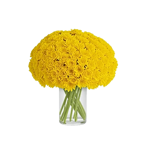 Radiant Bloom Cascade