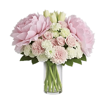 Petal Radiance Bliss