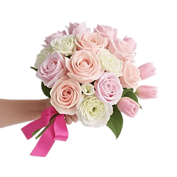 Pastel Pink Roses