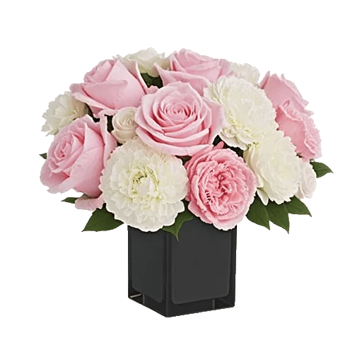 Petal Radiance Bliss