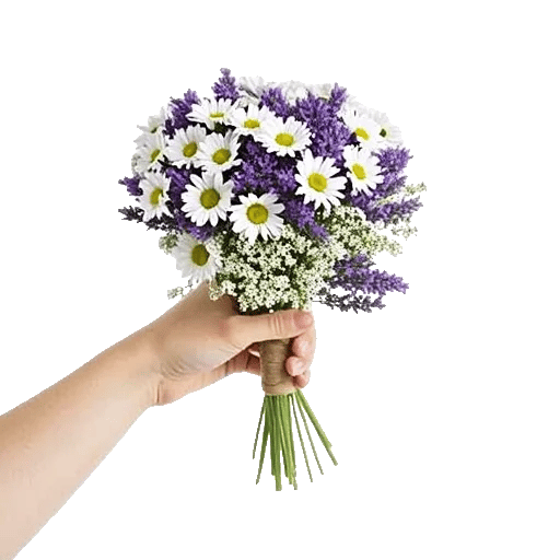 Delicate Petal Cascade