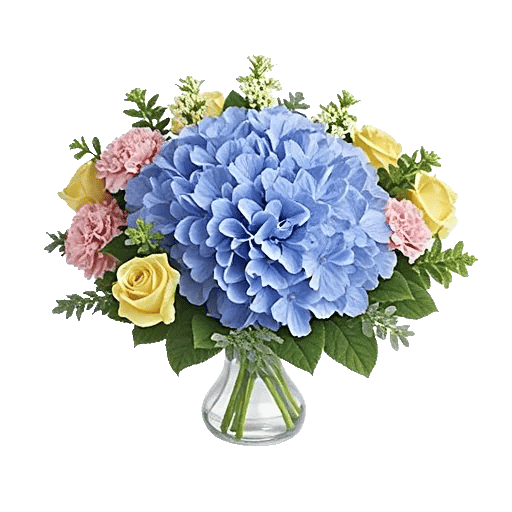 Sapphire Bloom Whisper