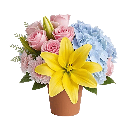 Blossom Harmony Display