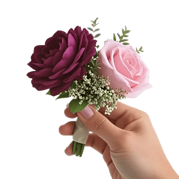 Plum Blossom Radiance