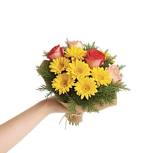 Blossom Harmony Display