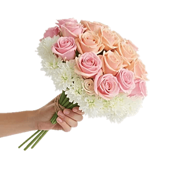 Pastel Pink Roses
