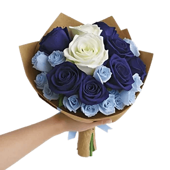 Elegant Blue Roses