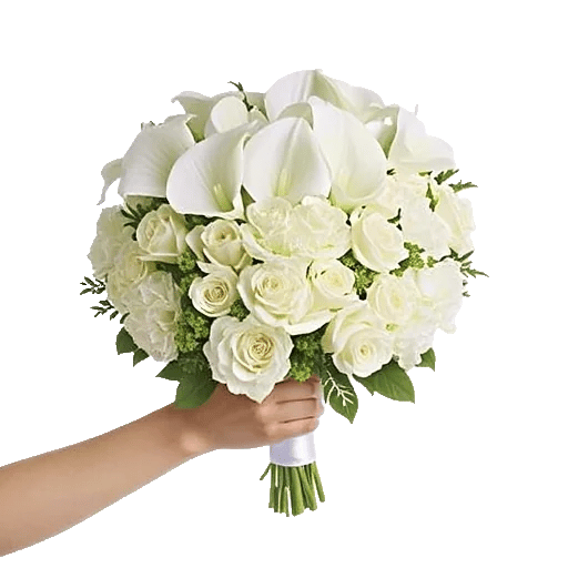 Elegant Calla Lilies