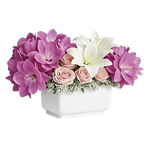 Orchid Bloom Cascade