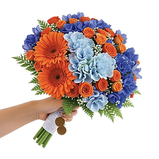 Blossom Petal Serenity