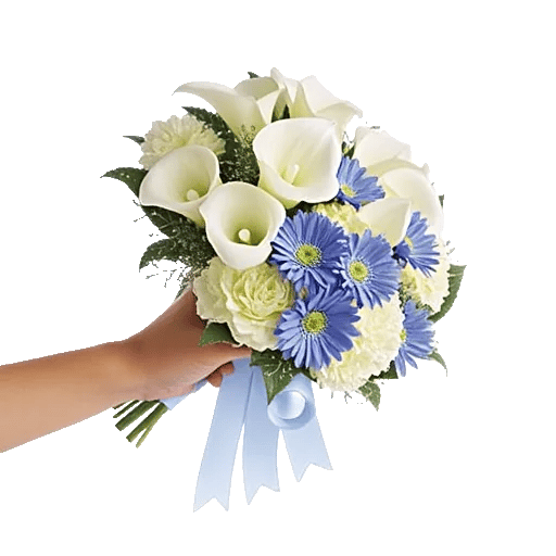 Elegant Calla Lilies