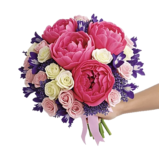 Peony Petal Harmony