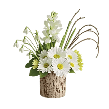 Modern White Orchids
