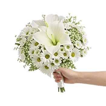 Ivory Garden Grace