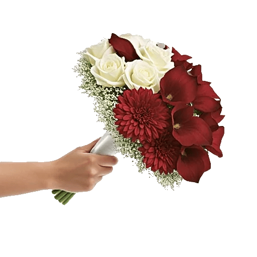 Radiant Bloom Cascade