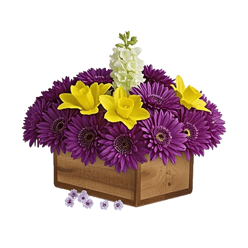 Delicate Petal Cascade