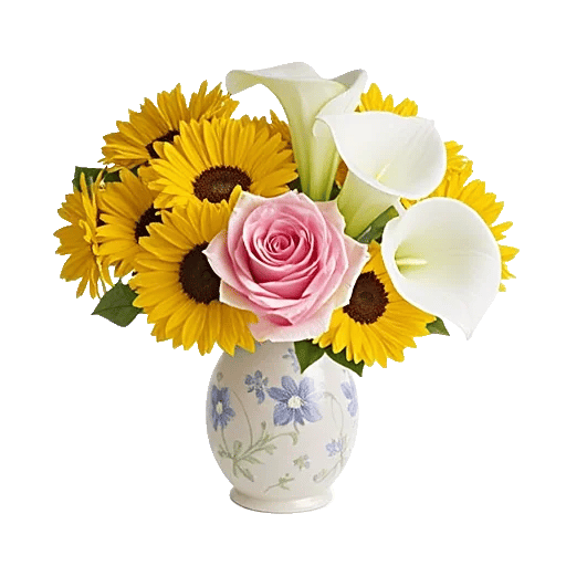 Radiant Rose Symphony