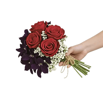 Crimson Rose Elegance