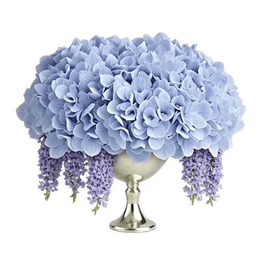 Sapphire Bloom Whisper