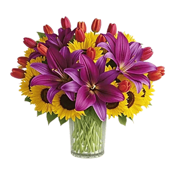 Velvet Tulip Display