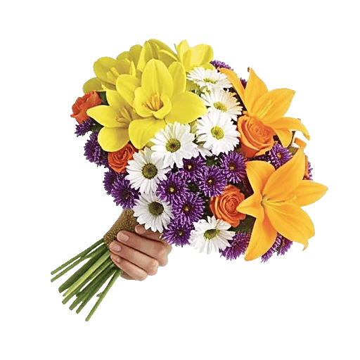 Orchid Bloom Cascade