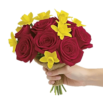 Crimson Rose Elegance