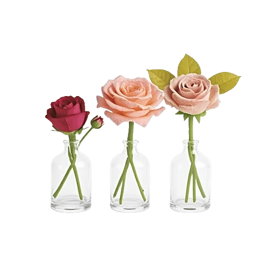 Petal Radiance Bliss