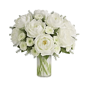 Ivory Blossom Radiance