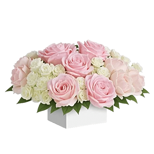 Delicate Petal Cascade