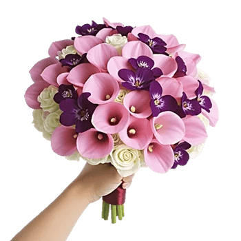 Elegant Calla Lilies