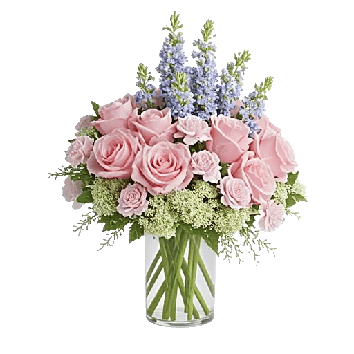 Pink Pastel Roses