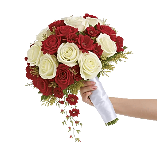 Delicate Petal Cascade