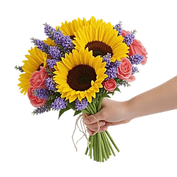 Twinkling Sunflower Dance