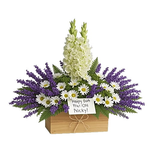 Lavender Bloom Grace