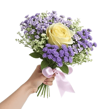 Blossom Harmony Display