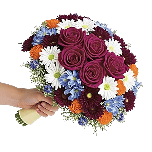 Blushing Rose Symphony