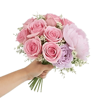 Pastel Pink Roses