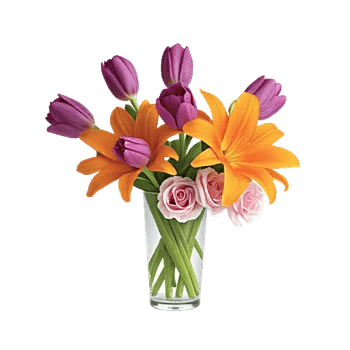 Velvet Tulip Display