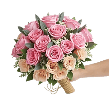 Pastel Pink Roses
