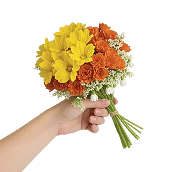 Delicate Petal Cascade