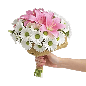 Blossom Harmony Display