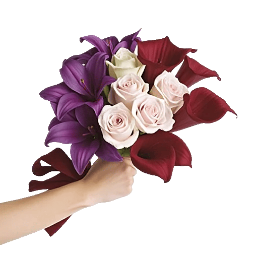 Blushing Rose Symphony