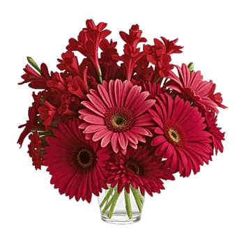 Crimson Blossom Harmony