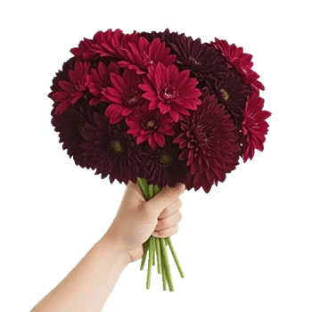 Crimson Blossom Harmony