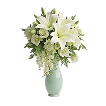 Ivory Blossom Radiance