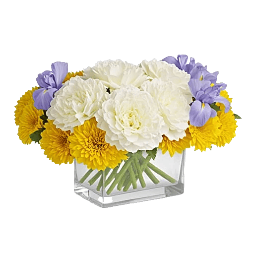 Ivory Blossom Radiance