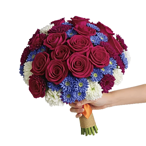 Blushing Rose Symphony