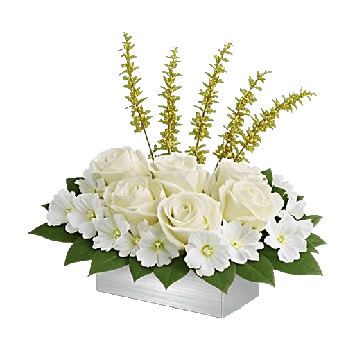 Delicate Petal Cascade